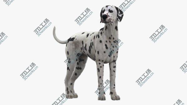 images/goods_img/20210312/Dalmatian Rigged 3D model/1.jpg